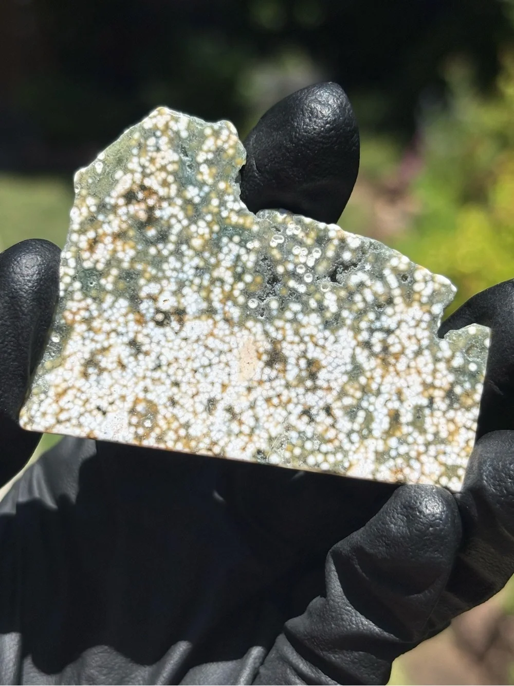 Ocean Jasper Crystal Slab - Orbicular Jasper - Polished Sea Jasper